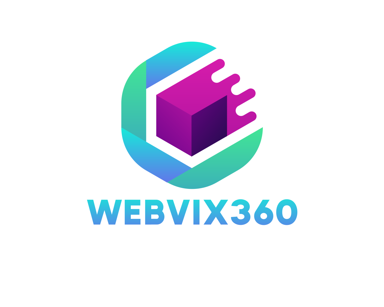 Webvix360